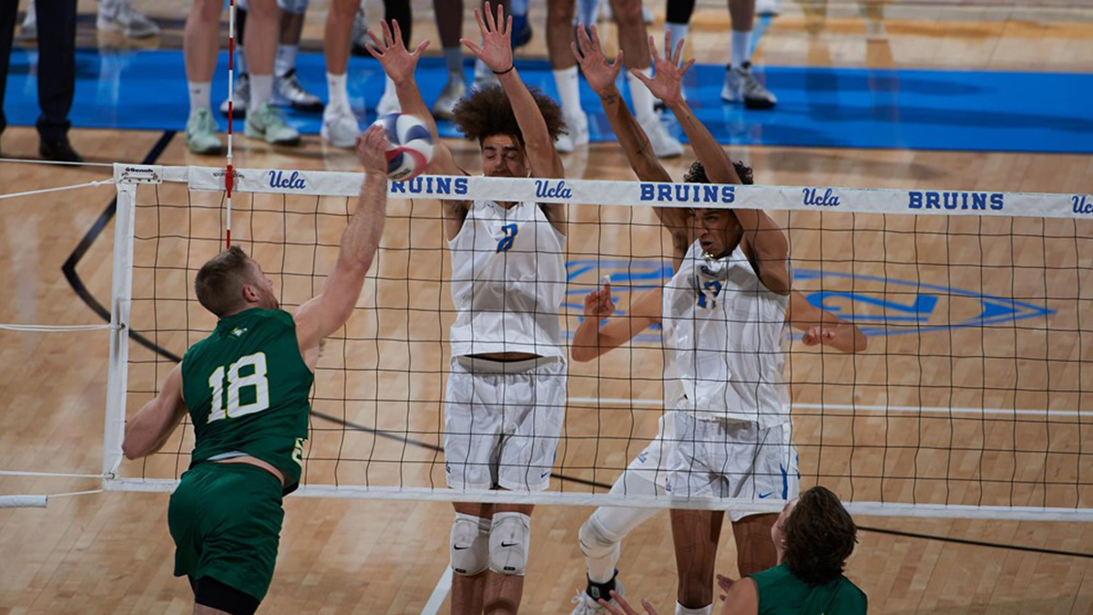 UCLA men's volleyball to travel to two HBCUs HBCU Gameday