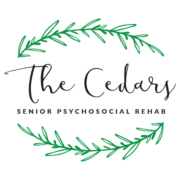  Hinds Behavioral Health Services Region 9