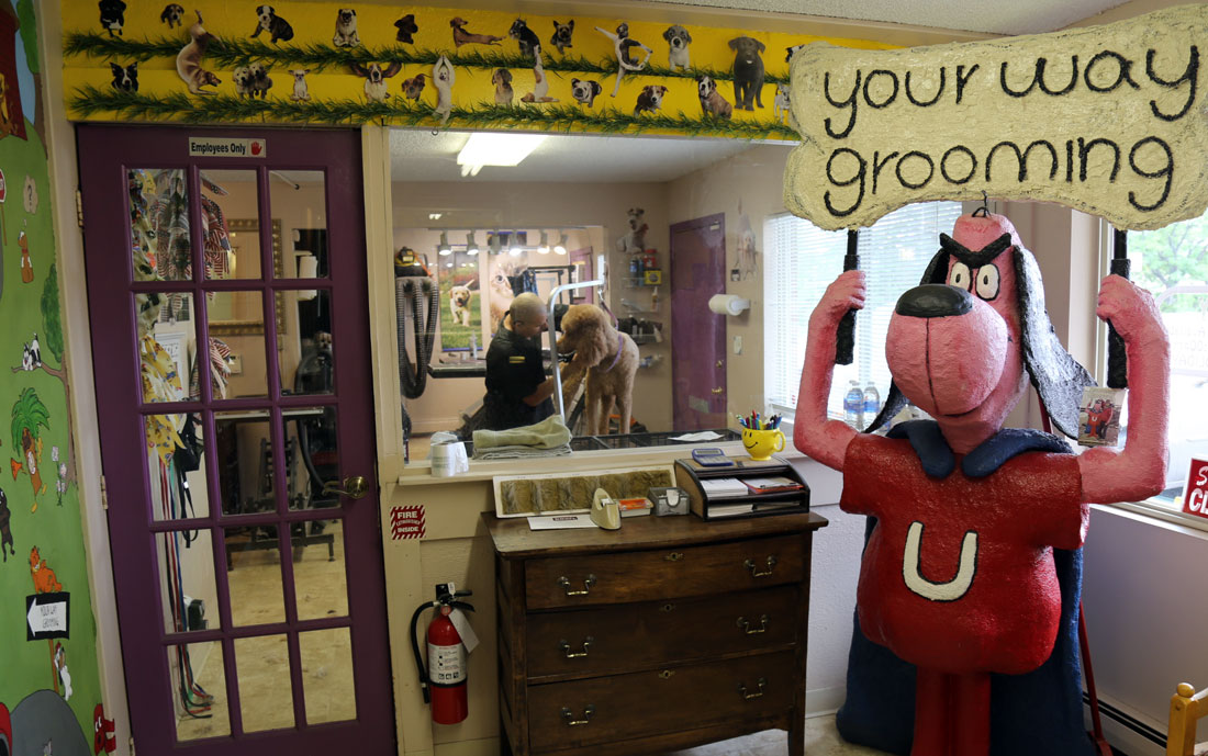 Pet Grooming in Grand Junction HBJ's Pet Grooming