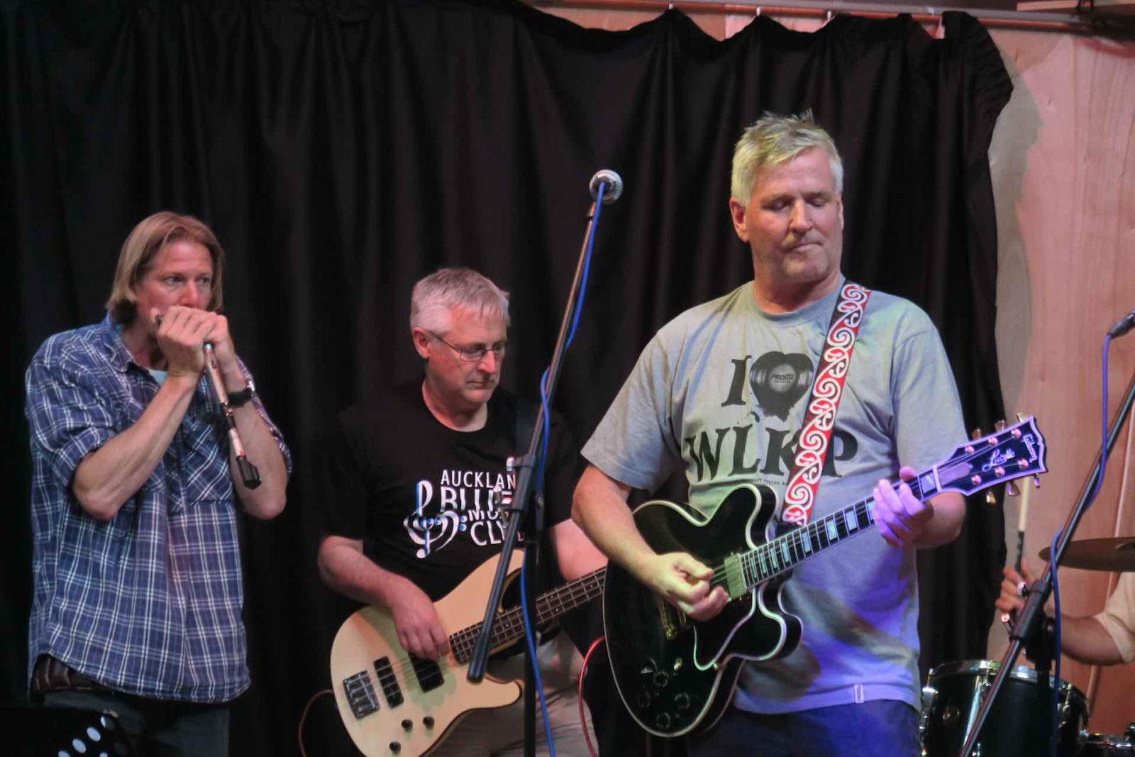 bigtnthedirtytones1811257 Hamilton Blues Society