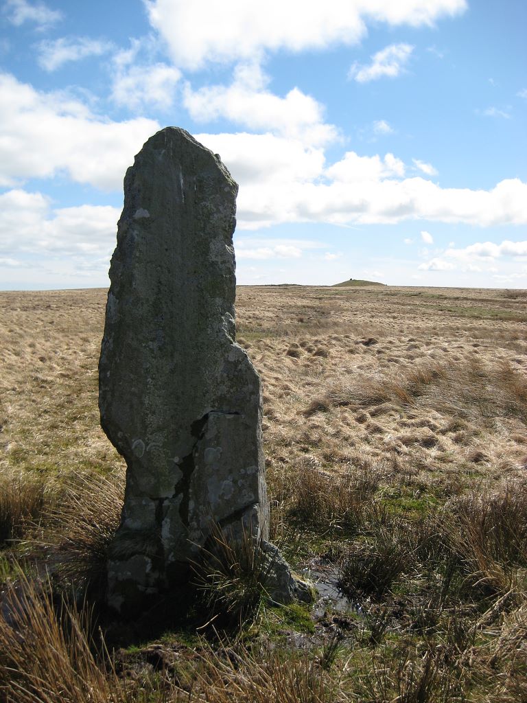 The Long Stone, Common Exmoor's Past the online