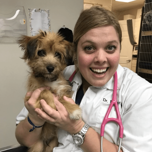 Veterinarian In Boerne, TX 78006 HCA Emergency Hospital