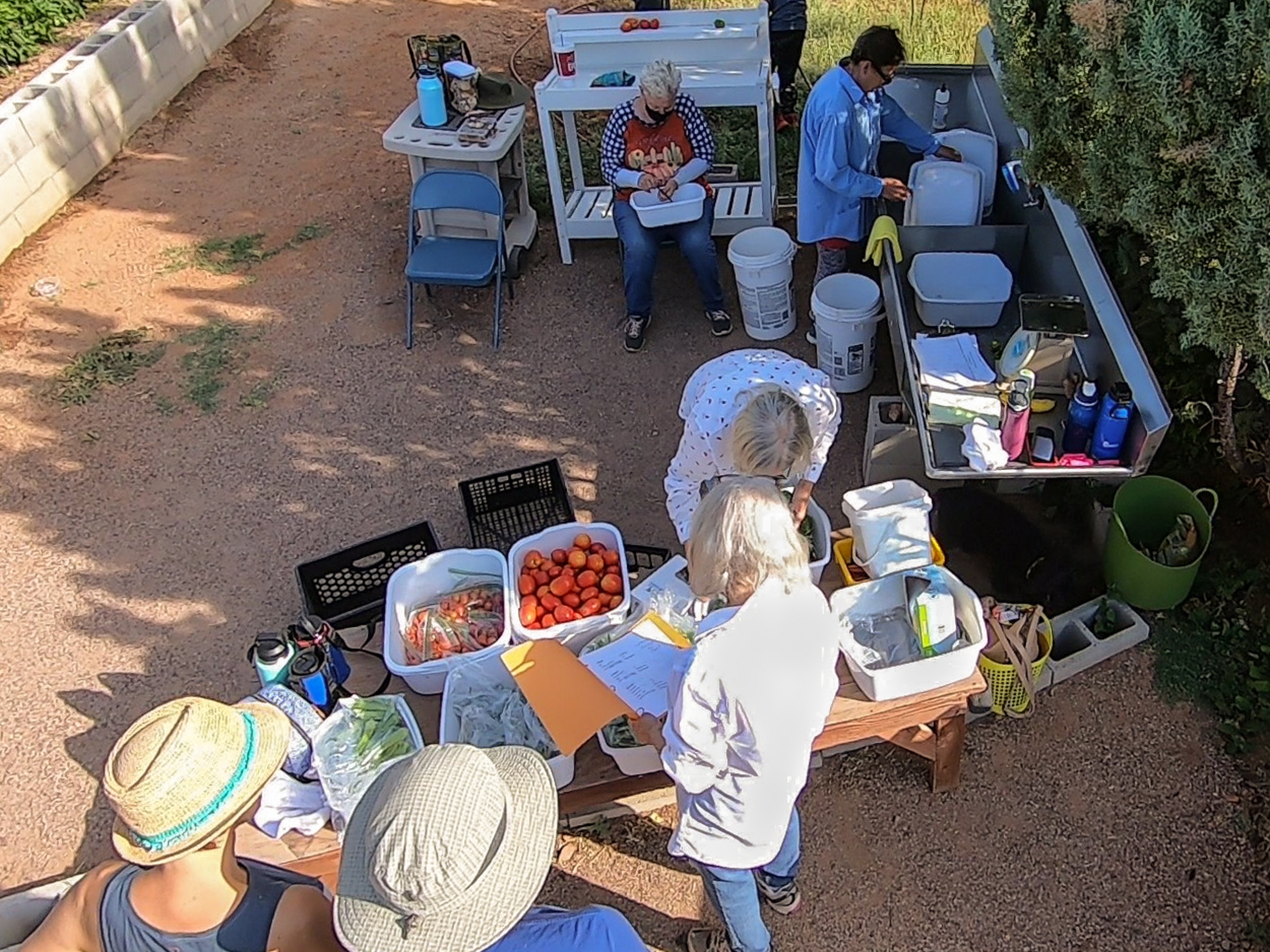 Huachuca City Community Garden The "Heartbeet" of Our Community Not