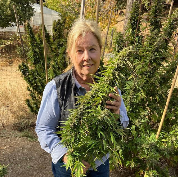 Testimonials Humboldt County Growers Alliance