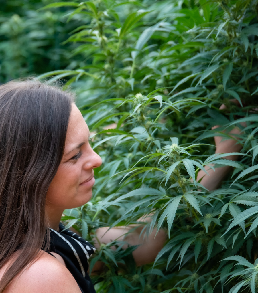 Testimonials Humboldt County Growers Alliance