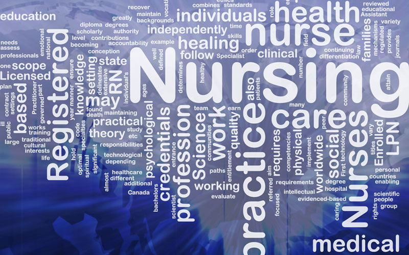 Nursing Practice and Professional Advancement’s WorkSchool Program