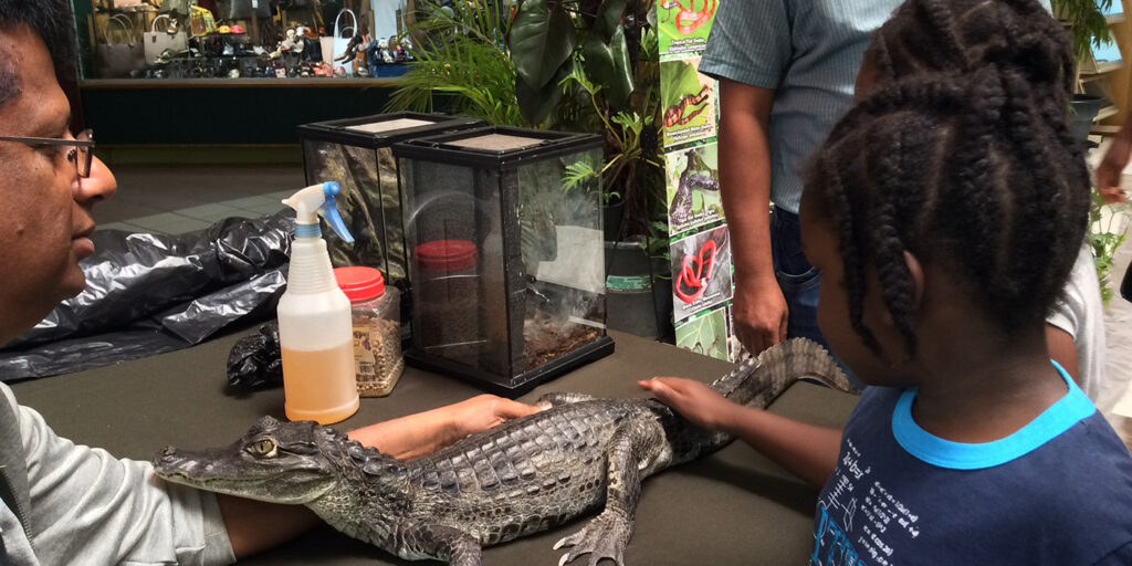 Long Circular Mall Home Construction Limited HCL