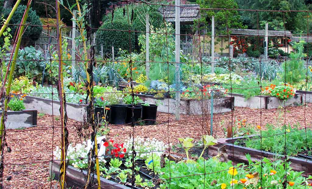 The Farm Garden Horticulture Centre of the Pacific