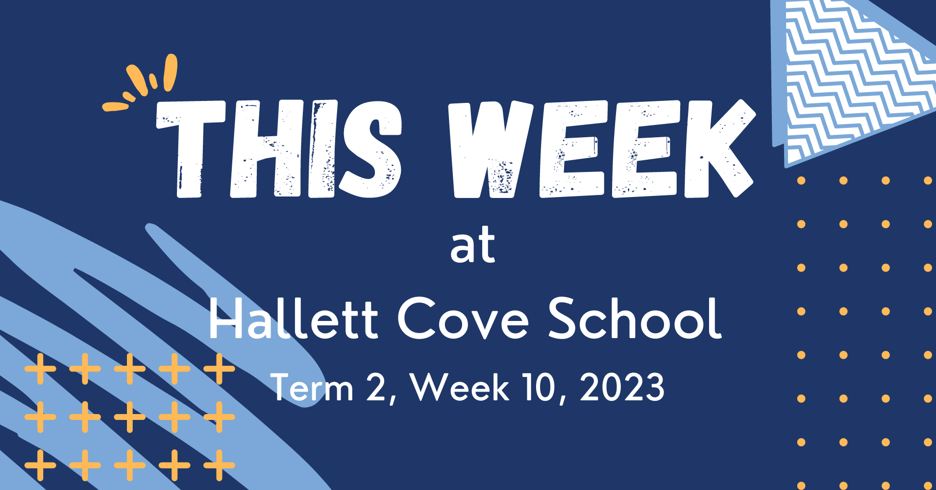 All News Hallett Cove School R12