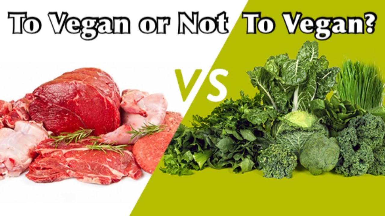 Intro Lecture To Vegan or not to Vegan Honours College Social