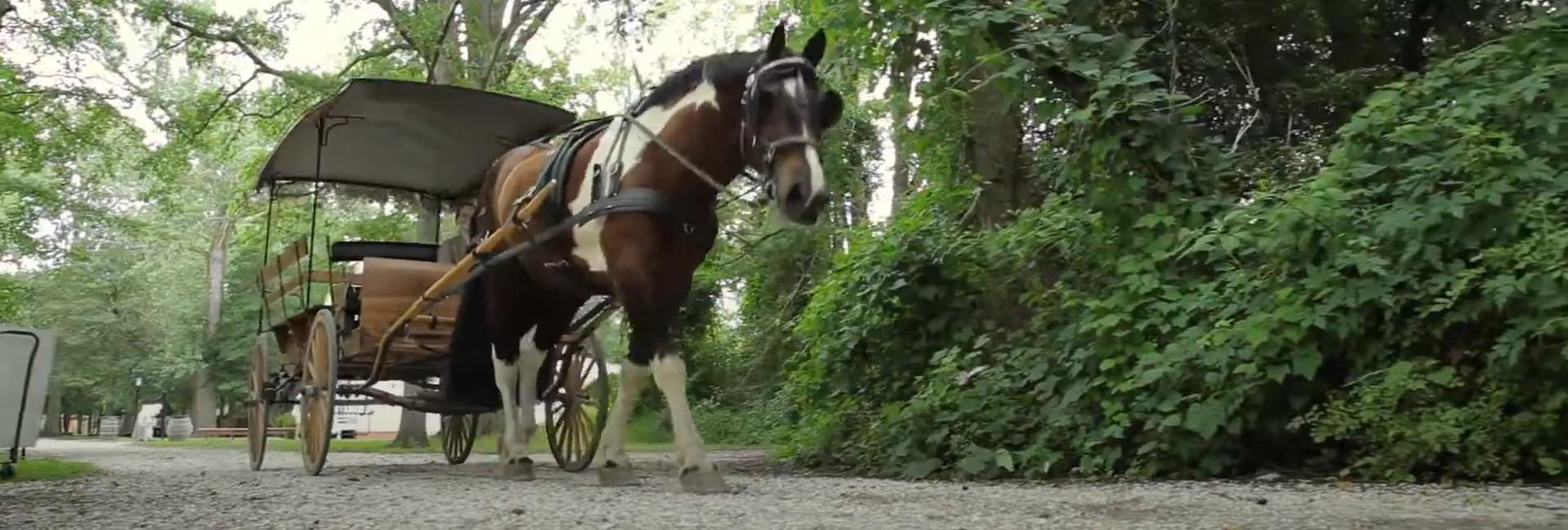 Historic Cold Spring Village Experience Hands On History