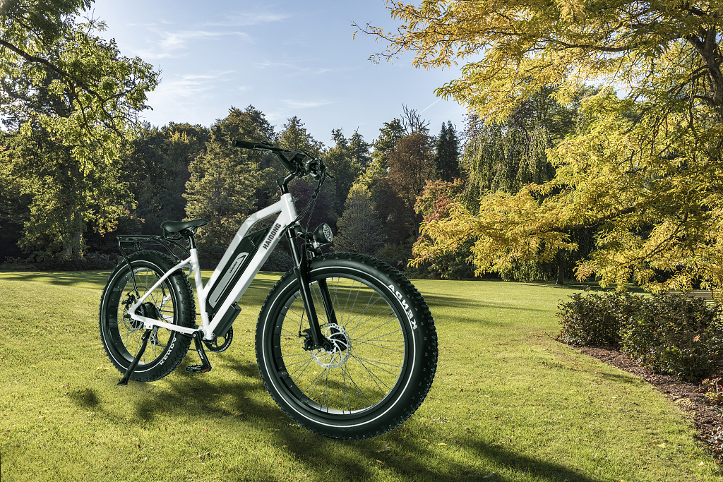 6 Things You Must Know About Ebike Touring Haidong Electric Bike