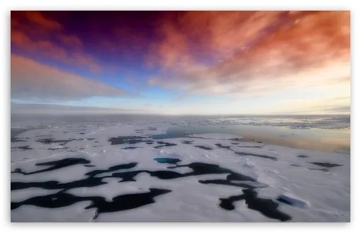 By Definition Antarctica Is Considered What Type Of Landscape Animal