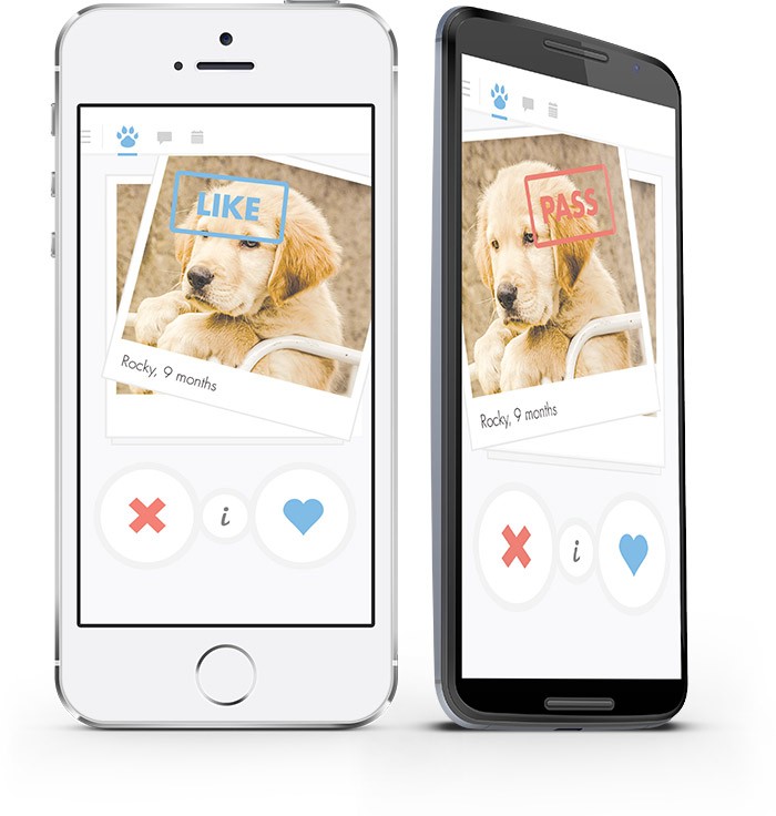 Mezzo sai, Tinder e un app di incontri e, giacche tutte le.