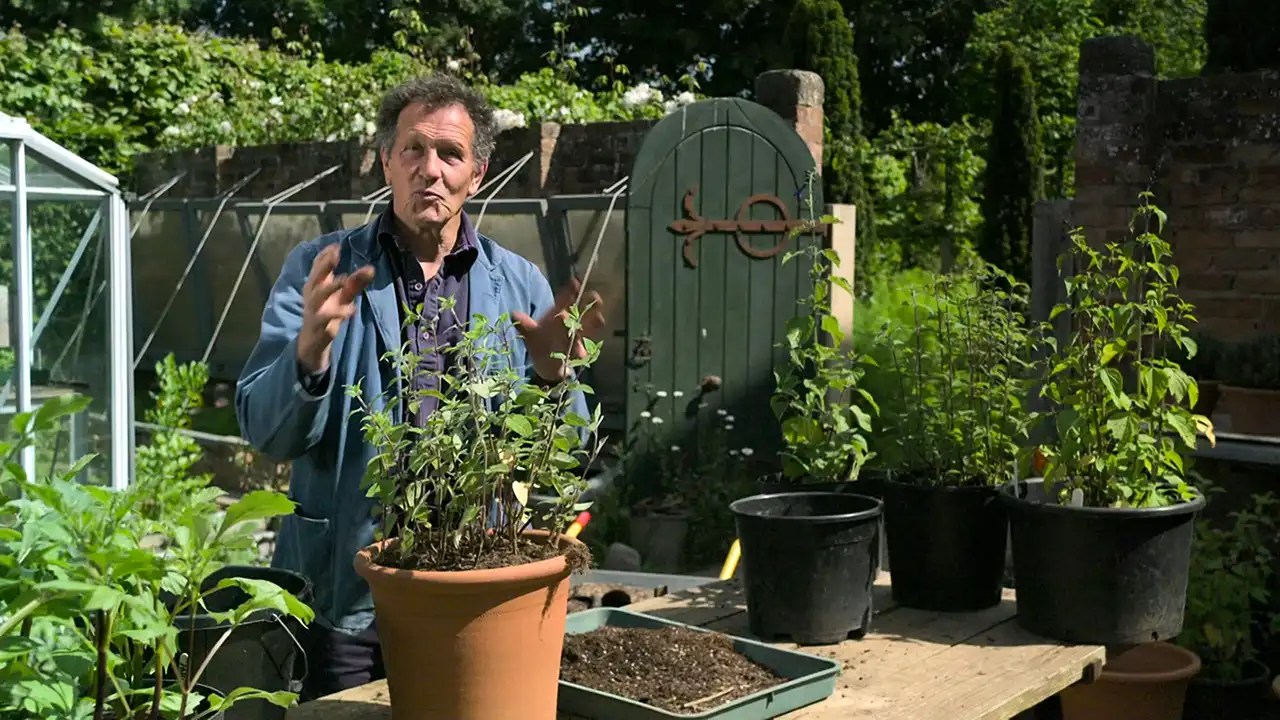 Gardeners World 2023 episode 12 HDclump
