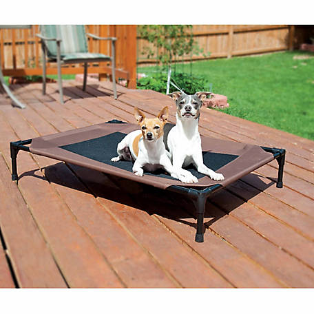 K&H Pet Products Original Pet Cot | HD Dog Training