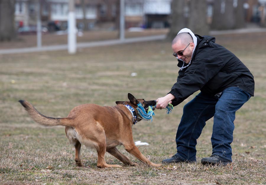 HD Dog Training Philadelphia's Best Dog Trainer