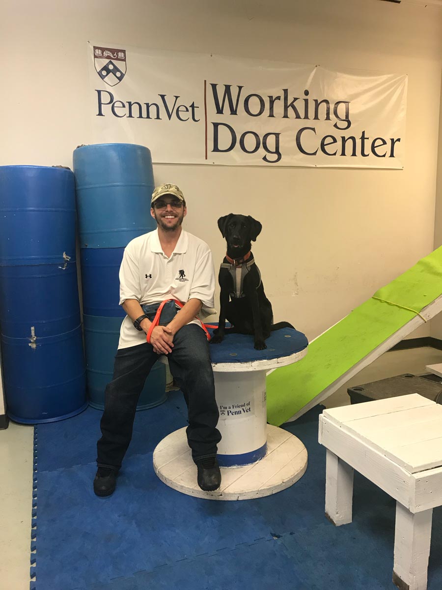 HD Dog Training Philadelphia's Best Dog Trainer
