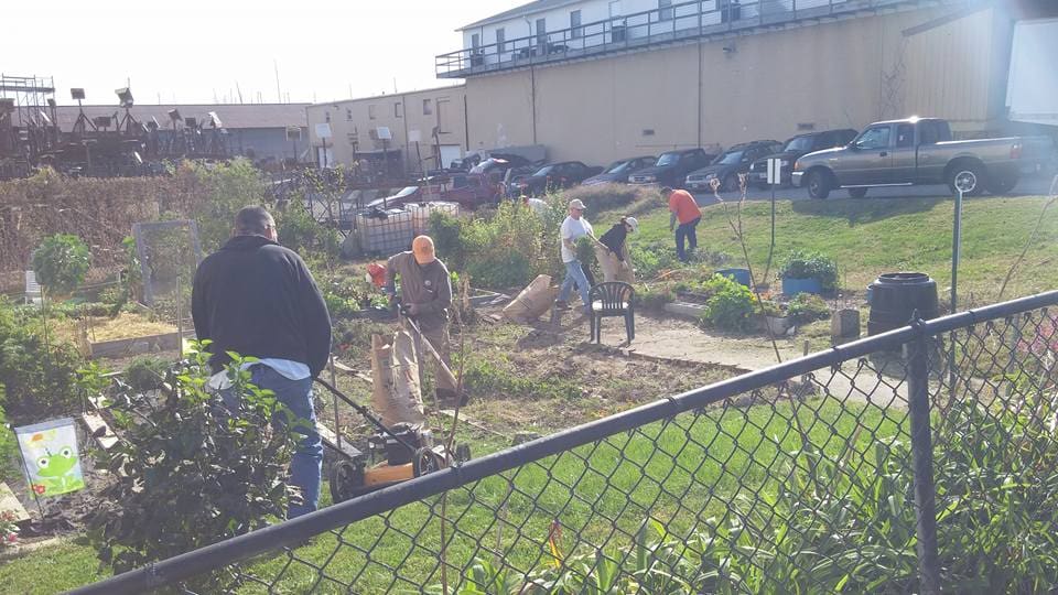 Strawberry Lane Community Garden Havre de Grace Green Team