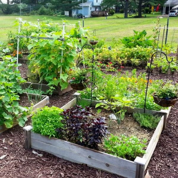 2023 Garden Plot Havre de Grace Green Team