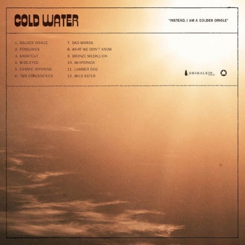 Cold Water Instead, I Am A Golden Oriole (2023) HiRes » HD music