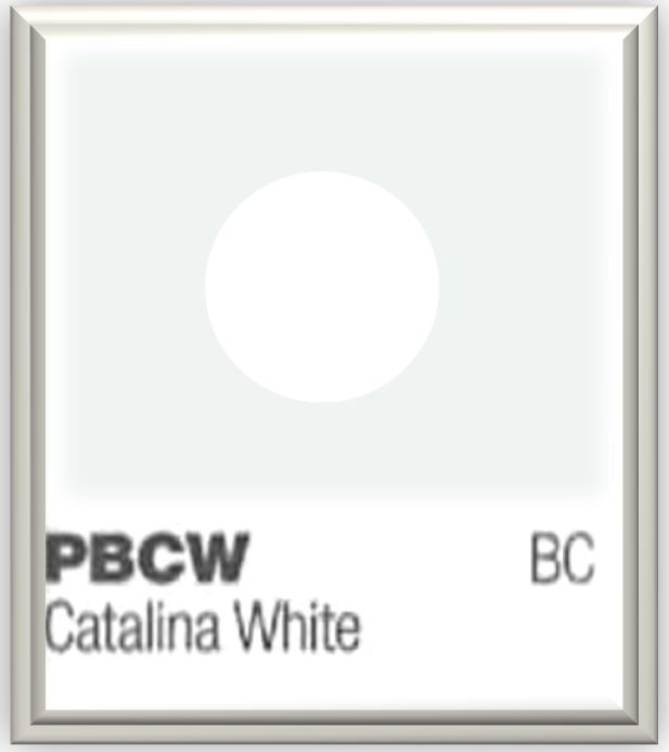 Tesla Paint Color Charts