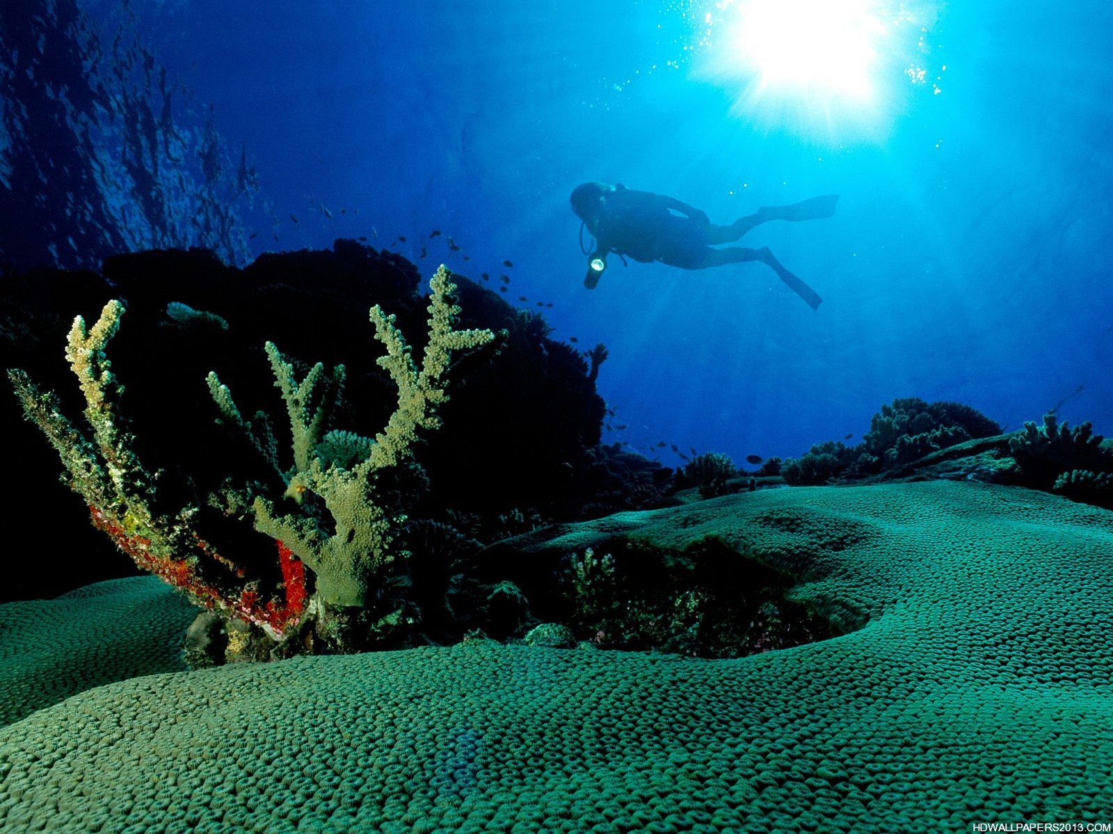 Cool Underwater Wallpapers High Definition Wallpapers, High