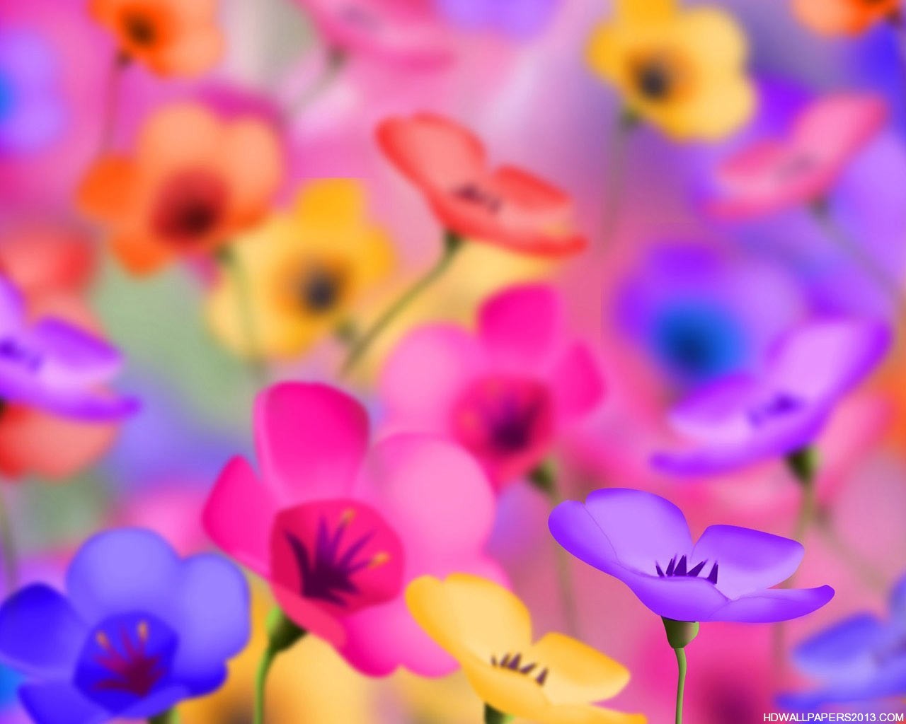 Flower Wallpaper Backgrounds High Definition Wallpapers, High