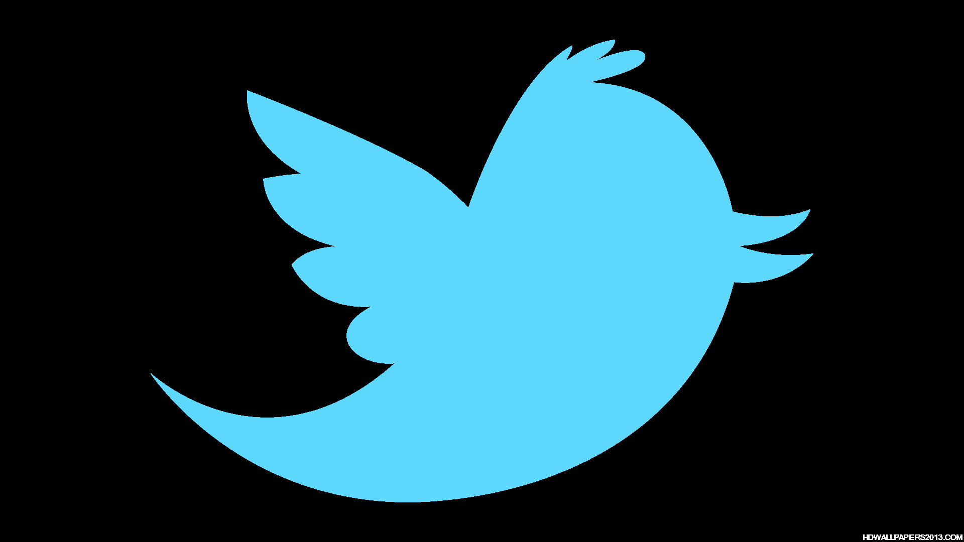 Twitter Vector Wallpaper High Definition Wallpapers, High Definition