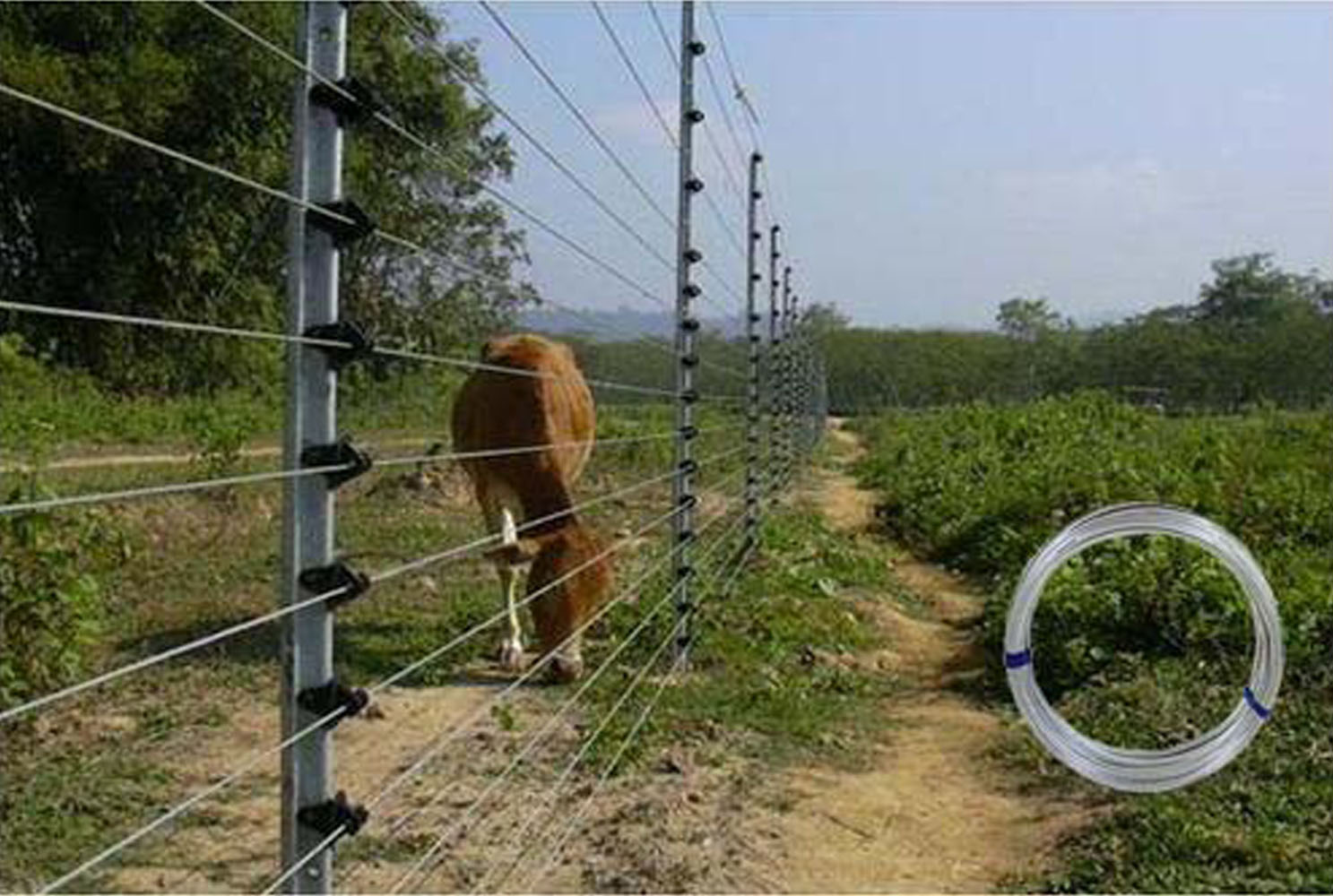 Solar Fencing Manufacturer from Indore, Smart Power Fencing HD Wires