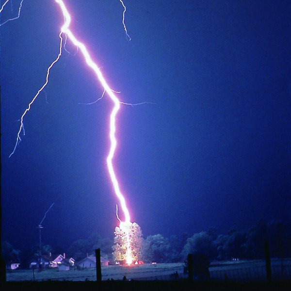 Lightning Wallpaper, Lightning Hits Tree, 17569