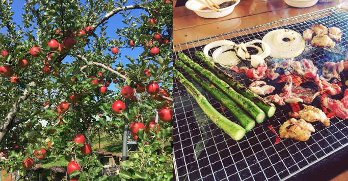 季節によって様々なフルーツ狩りが楽しめる「松井農園」釣り堀やバーベキュー場も完備する観光スポット！｜＠Heaaart アットハート