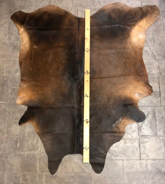 Bronze Brown Hide HD293 Longhorns Head To Tail Store