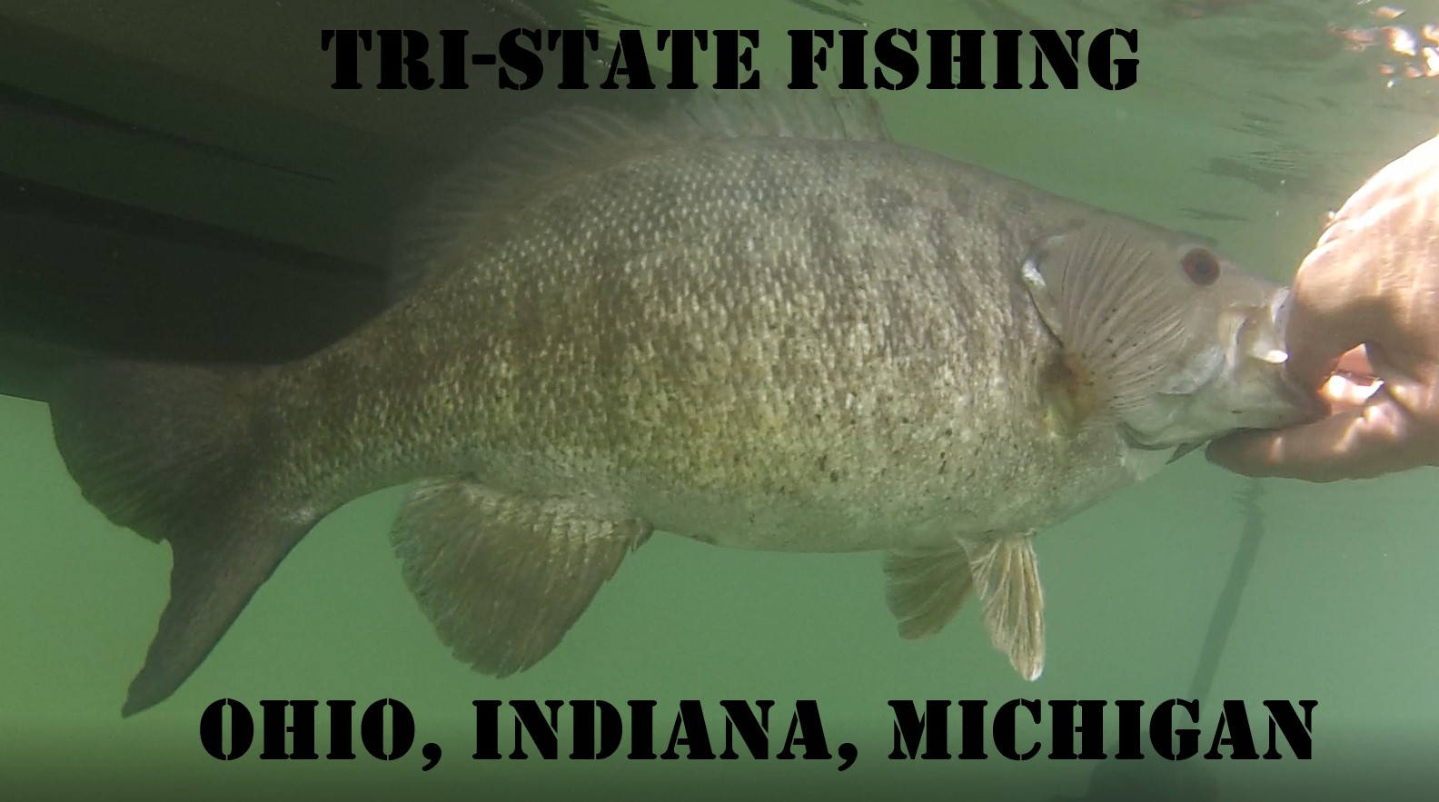 Buckeye Lake Ohio Ice Fishing Report TriState Fishing