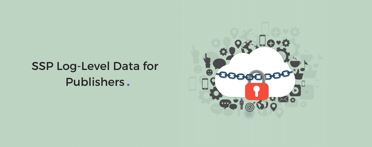 What Is SSP Log Level Data? And How You Can Use It?