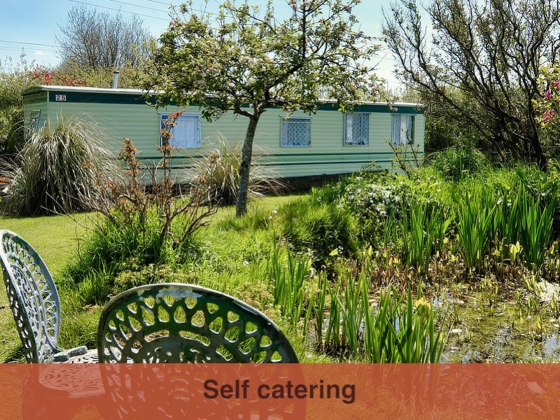 Bed & Breakfast, self catering and camping Exmoor Devon