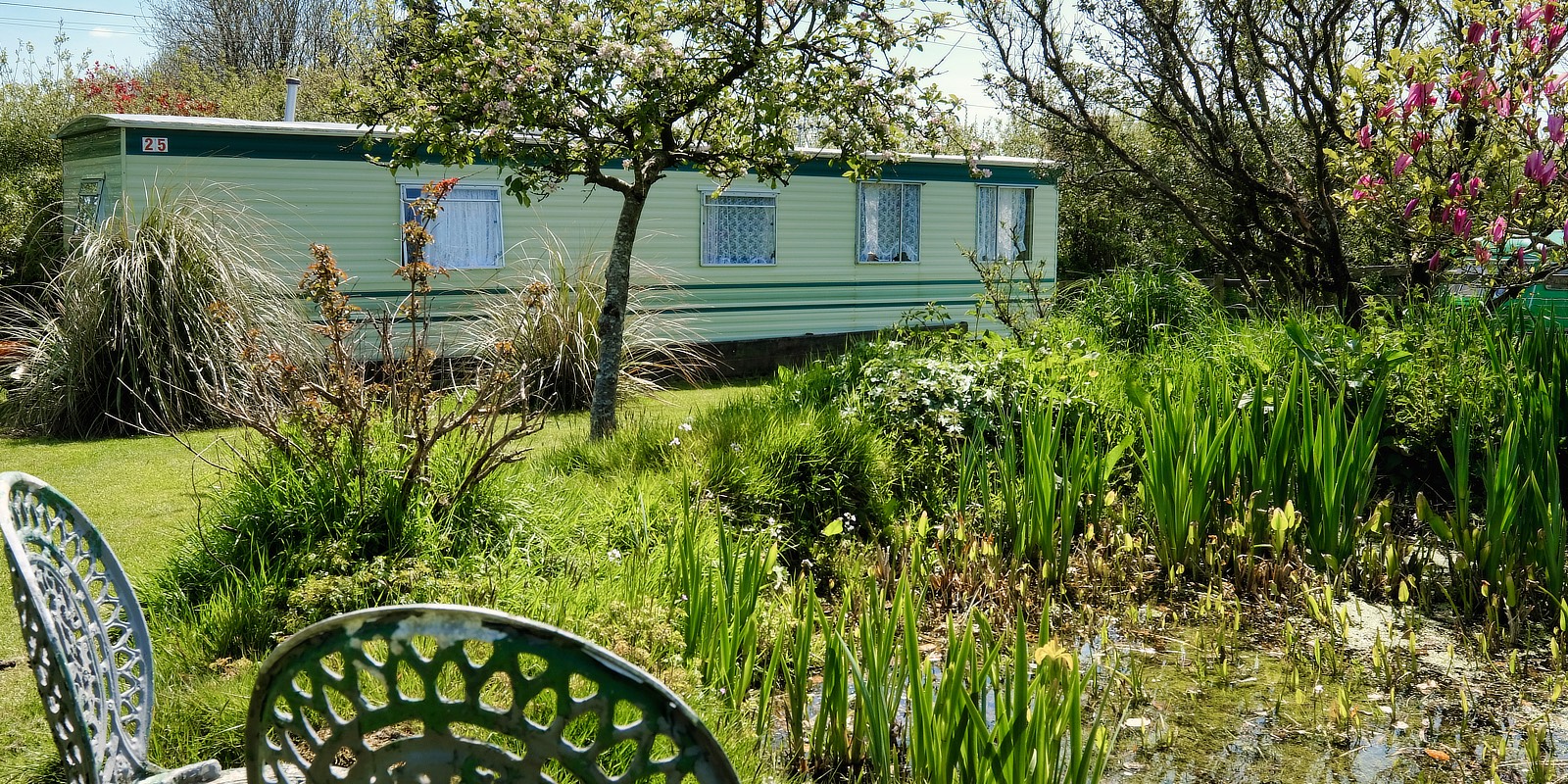 Bed & Breakfast, self catering and camping Exmoor Devon