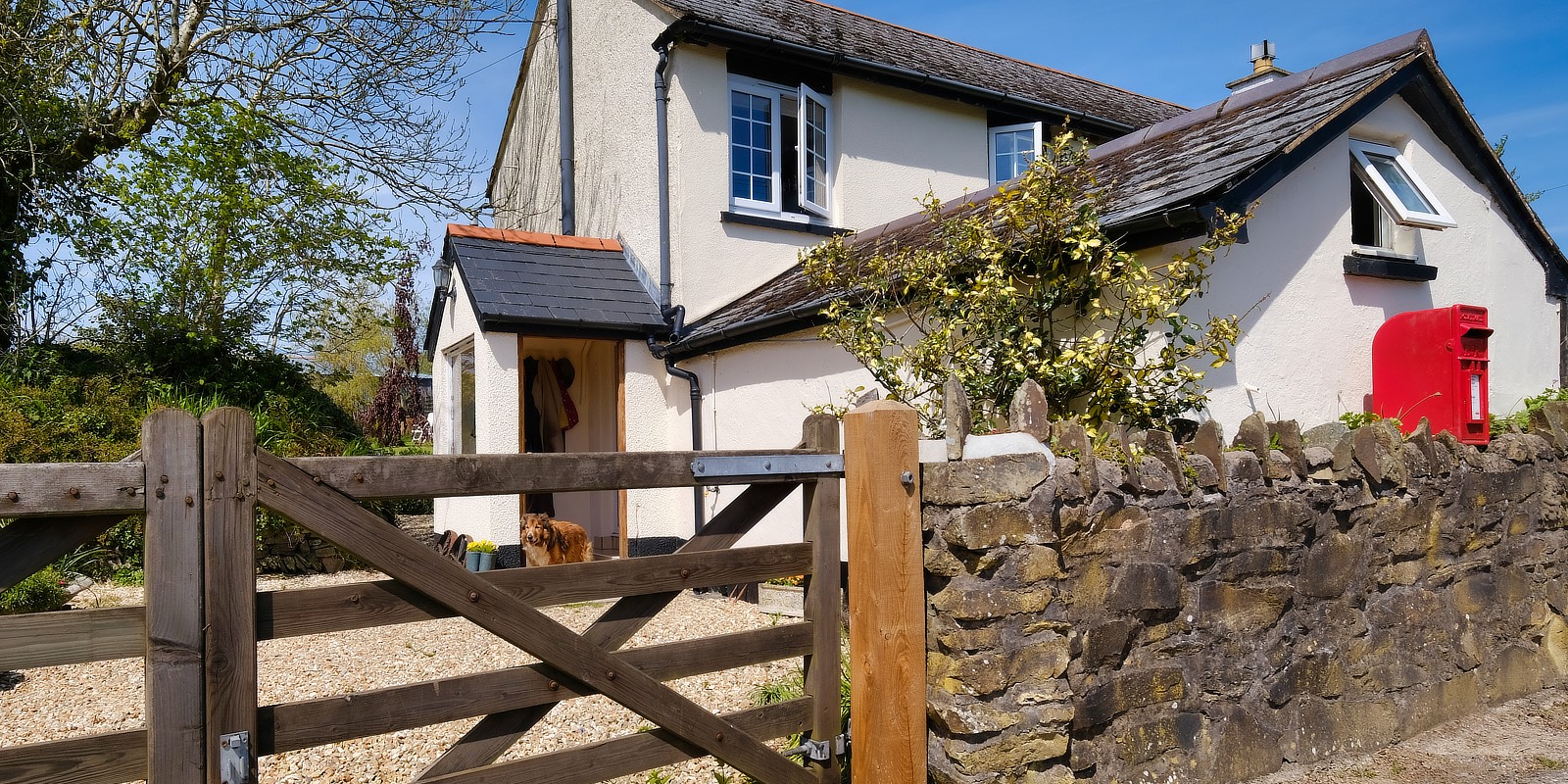 Bed & Breakfast, self catering and camping Exmoor Devon