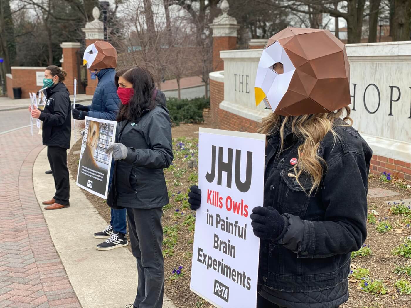 Campaign Updates Johns Hopkins University Owl Experiments PETA