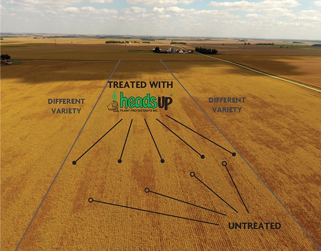 TopBannerright Heads Up Plant Protectant Inc.