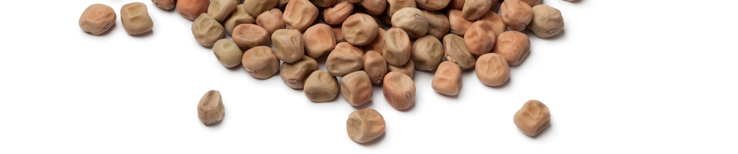 Heap of dried field peas Heads Up Plant Protectant Inc.