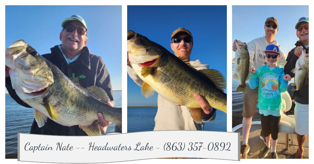 Florida Bass Fishing Headwaters Guide Service Updated 3/22