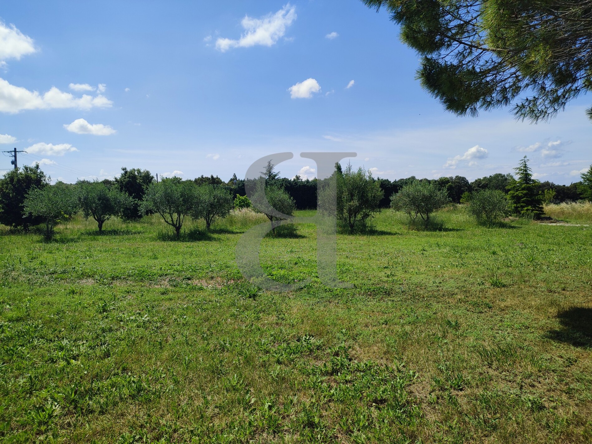 Luminous single storey villa with garage and open outlook Healey Fox