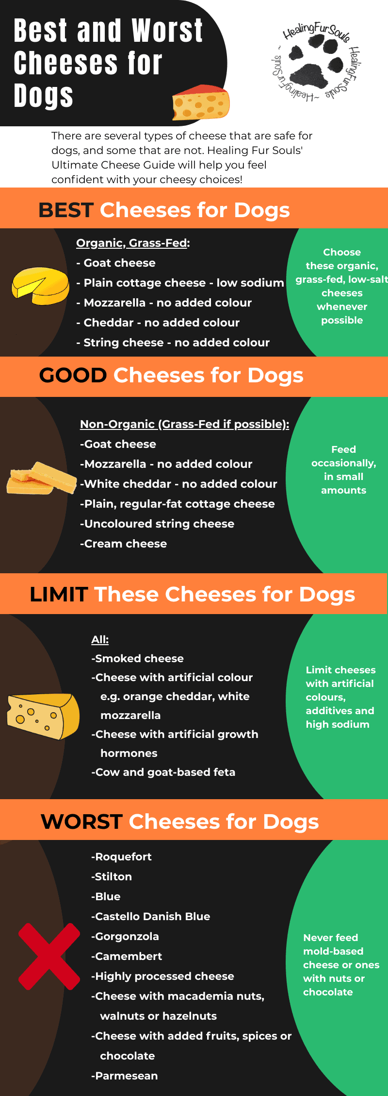 Can Dogs Eat Cheese? The Ultimate Cheese Guide for Dogs Healing Fur Souls