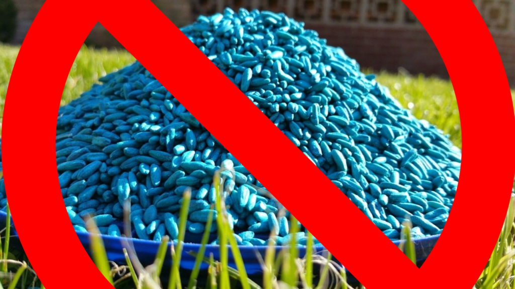 Does Rat Poison Expire? Healing Picks