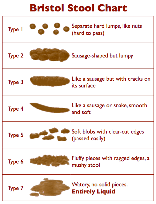 4 Reasons Your Digestion Is Ruined And How It Shows Up In Your Poop