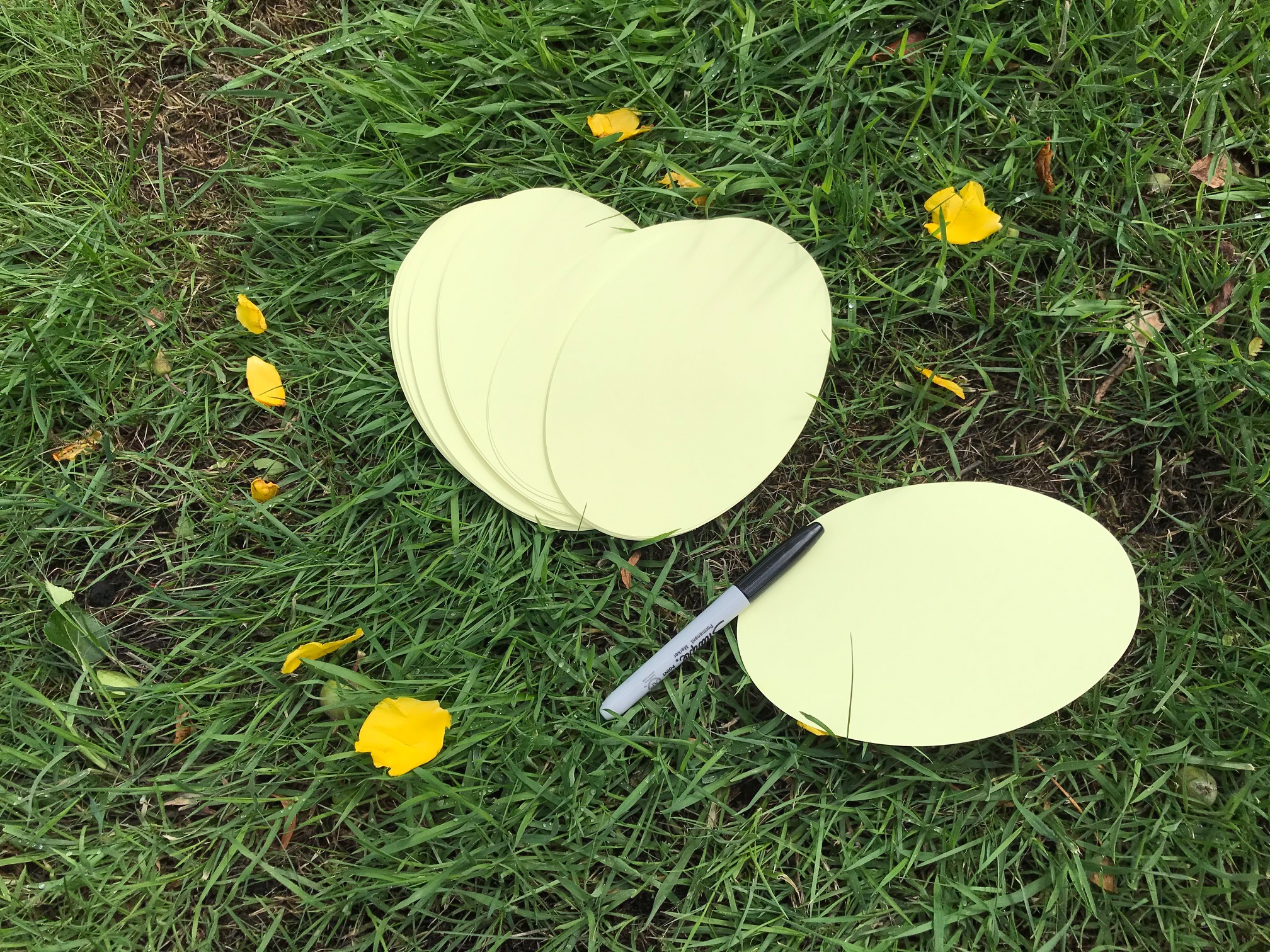 Virtual Day of Reflection Healing Through Remembering