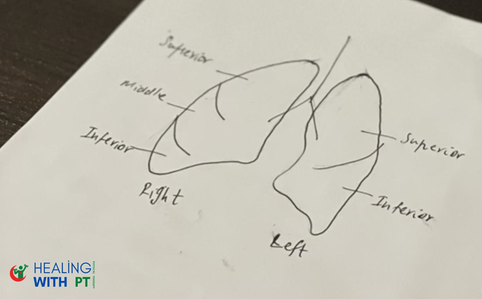 What is Chest Physiotherapy and Its Types? Physio Explains All!