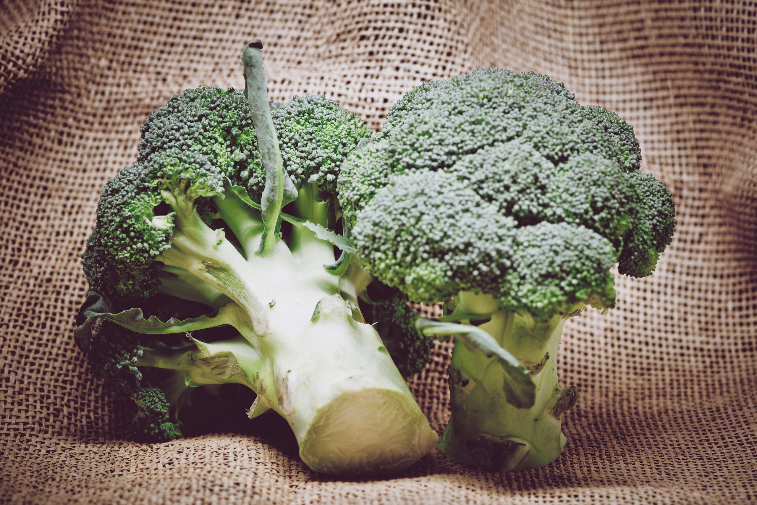 Benefits Of Broccoli Broccoli Health Benefits
