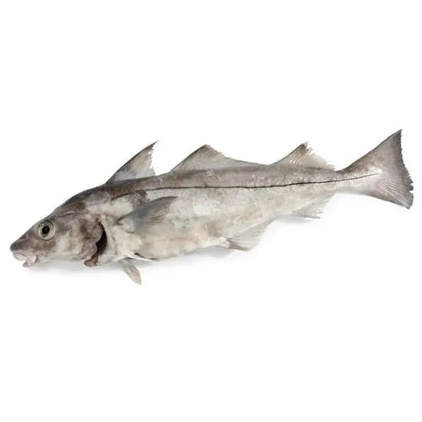The Most Surprising Health Benefits Of Haddock 2020 Health Cautions